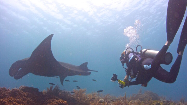 Manta Mother and Marine Scientist, Stephanie Venables