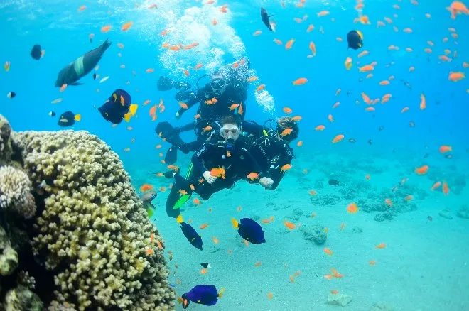 scuba diving in Eilat, Israel