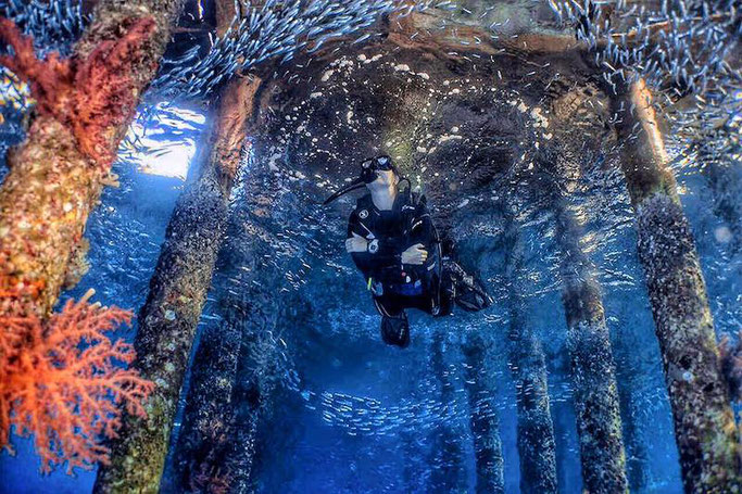 scuba diving in Aqaba