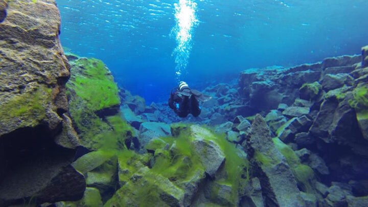 diving in Silfra