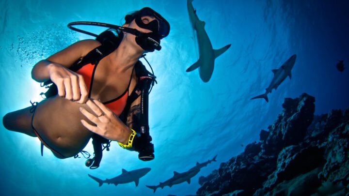 Fear in scuba diving