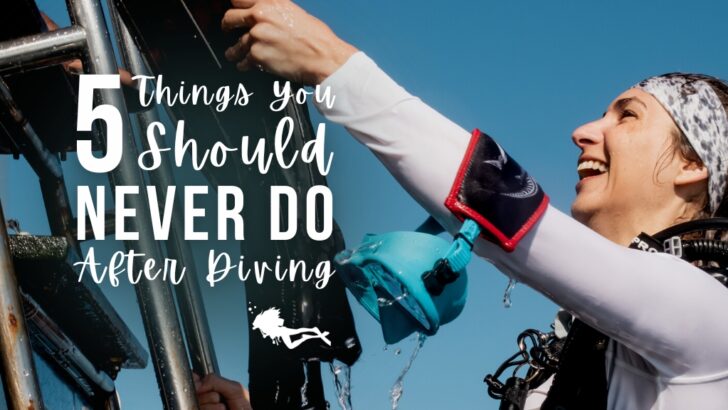 5 Things You Should Never Do Right After Scuba Diving