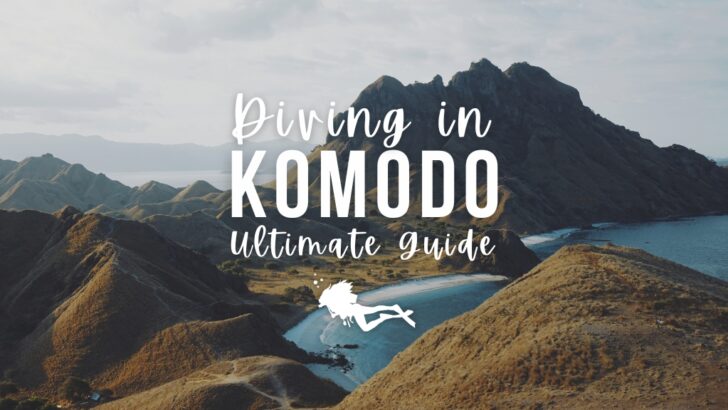 Looking out over a viewpoint in Komodo, Indonesia, with lush green mountains and bright blue ocean bays. Overlaid white text reads "Diving in Komodo Ultimate Guide"
