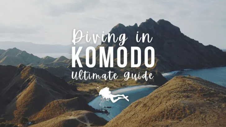 Looking out over a viewpoint in Komodo, Indonesia, with lush green mountains and bright blue ocean bays. Overlaid white text reads "Diving in Komodo Ultimate Guide"
