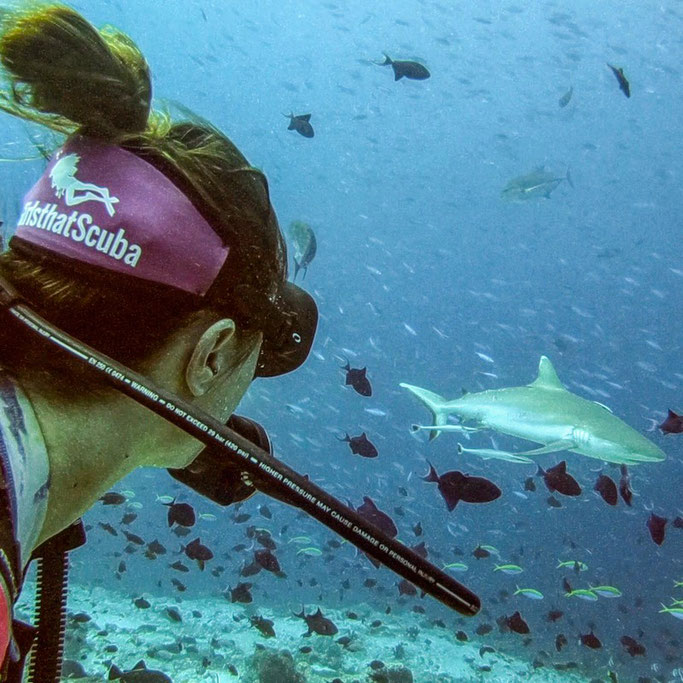 Sharks and Girls that Scuba