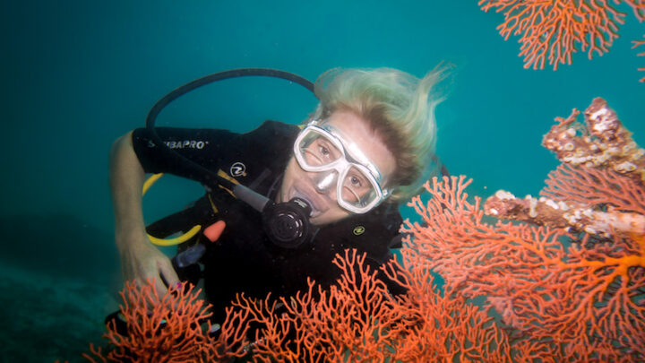 I was 50 and divorced then discovered scuba diving and it changed my life!