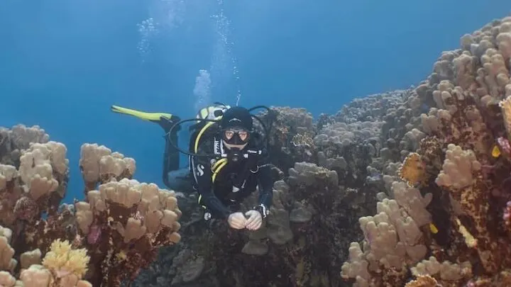 scuba diving in dahab