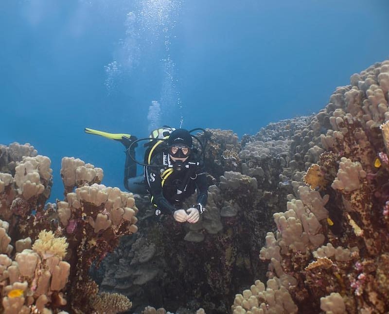 Best Dive Sites in Dahab, Egypt