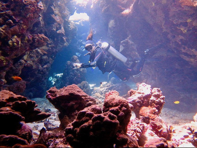 scuba diving marsa alam