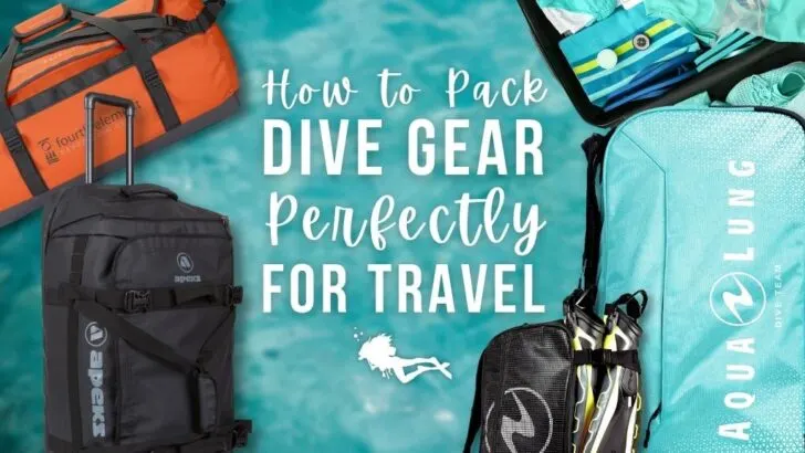 4 scuba diving travel bags on a turquoise blurred background. Overlaid white text reads 