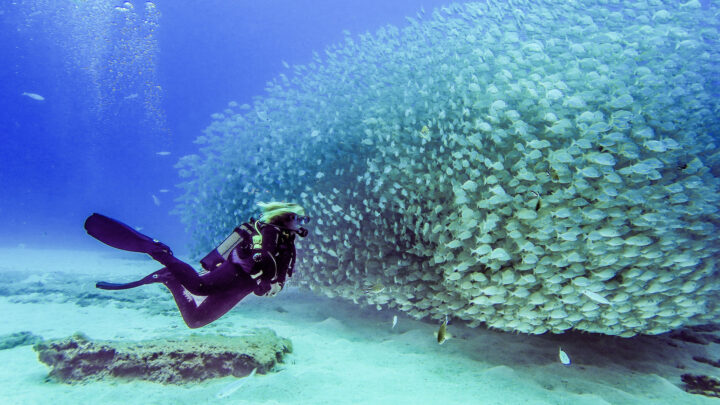 Scuba Diving in Gran Canaria