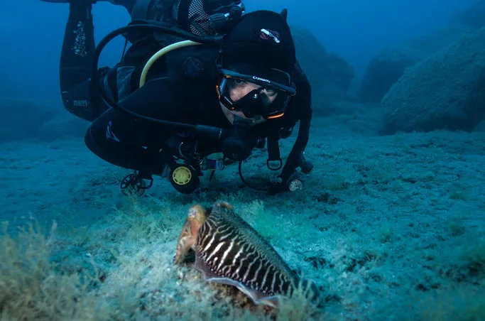 scuba diving gran canaria