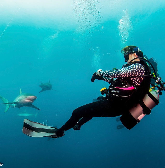 shark diving girls