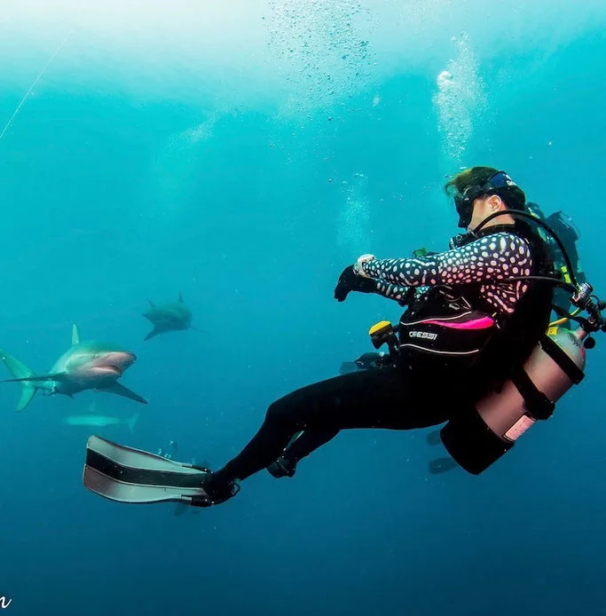 shark diving girls