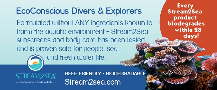 ecoconscious divers