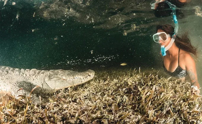 girl dives with crocodile
