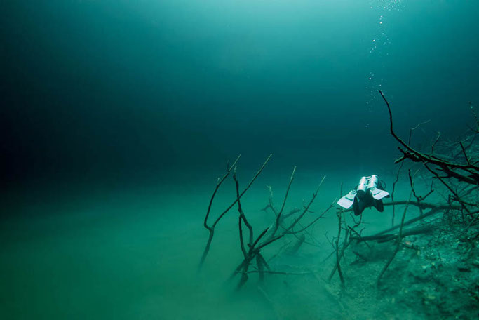 cenote diving in mexico ]