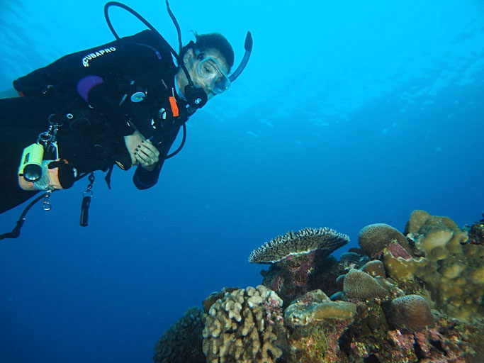 scuba diving cook islands