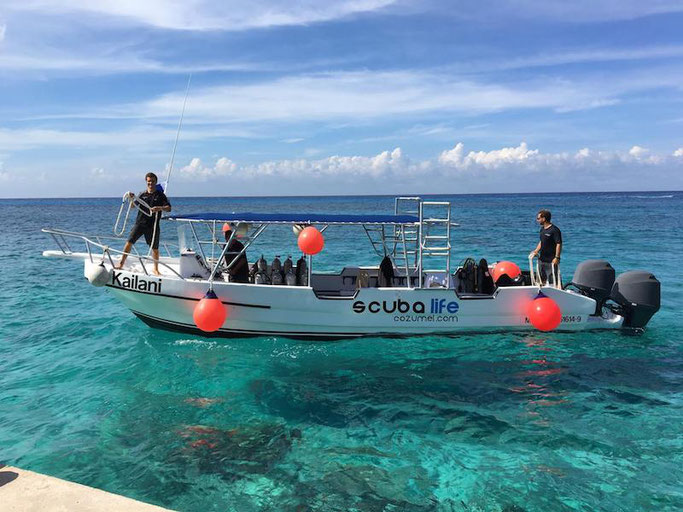 scuba life cozumel 