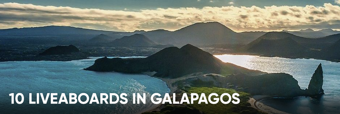 Liveboards in Galapagos