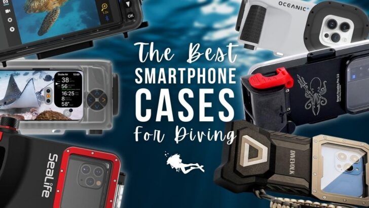 Best Underwater Phone Cases for Diving