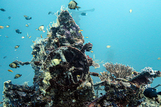 scuba diving in solomons