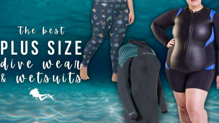 The Best Plus Size Swimwear and Wetsuits