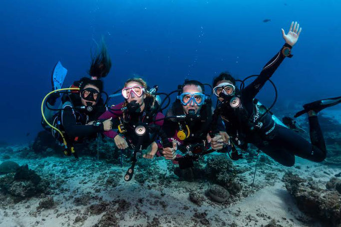 divemaster internship