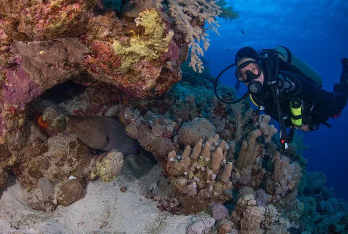 rescue scuba diving course