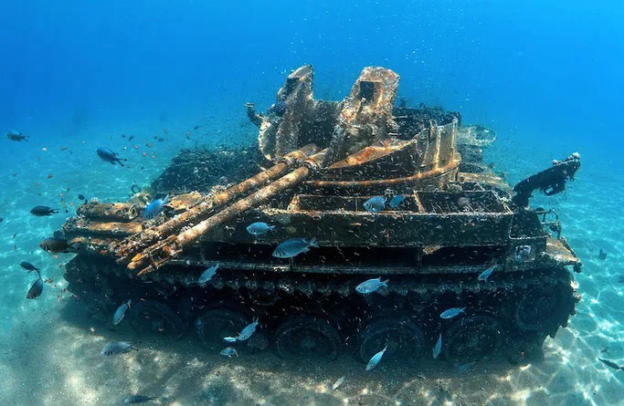 scuba diving in aqaba