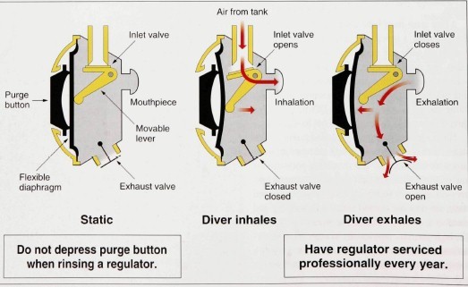 How do I know if my regulators are working as they should