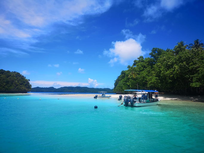 how to get to palau and scuba diving