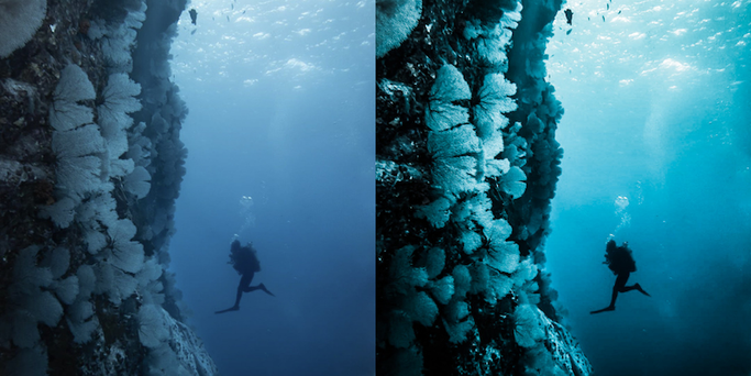 Scuba diver underwater on GoPro, before and after Lightroom preset edit