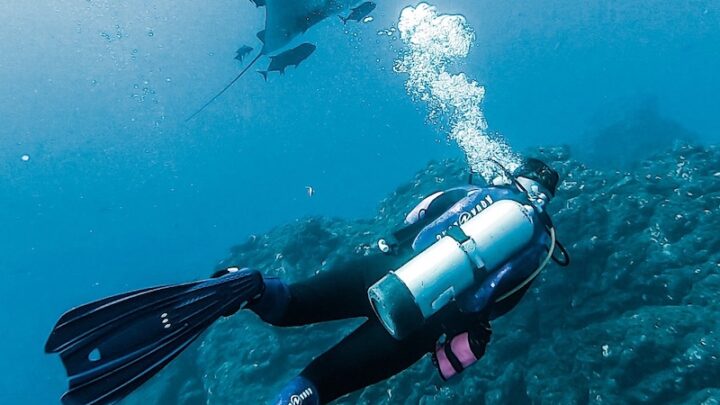 How to choose new scuba diving fins