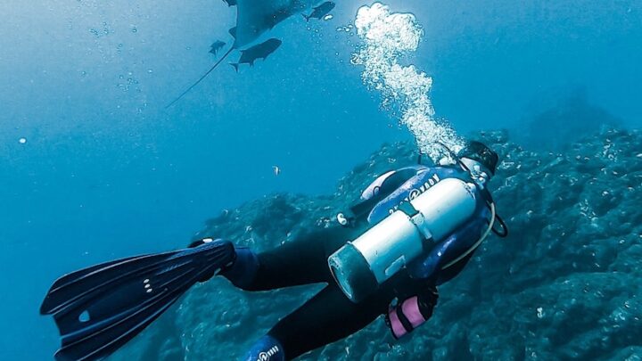 scuba diving fins