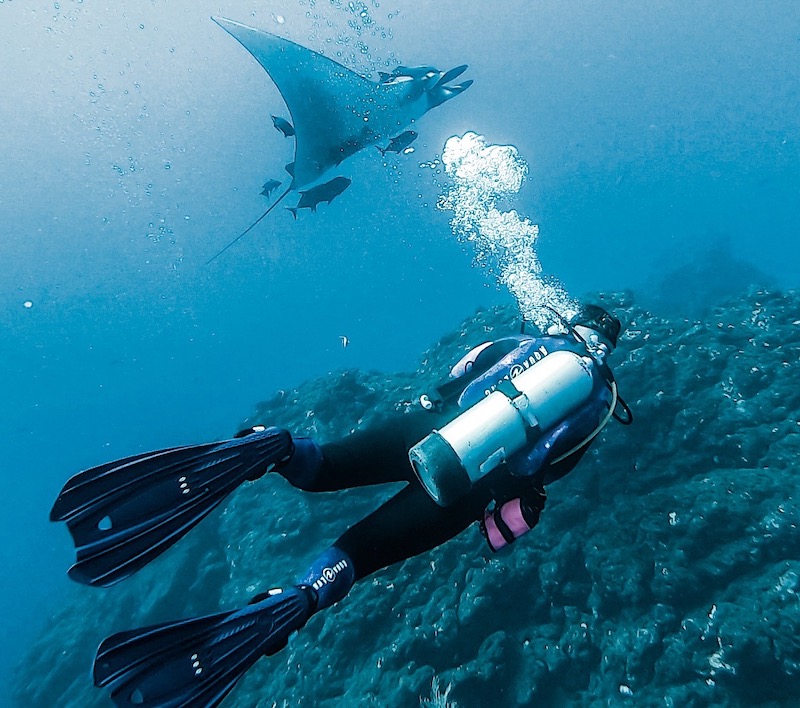 thumbnail image 2 of SCUBAPRO GO Fins SCUBAPRO GO Travel Fins - Open Heel Bungee Strap For Scuba Diving & Snorkeling Snorkeling Equipment 2 of 11
