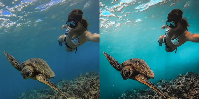 Underwater GoPro selfie with turtle before and after Lightroom preset edit