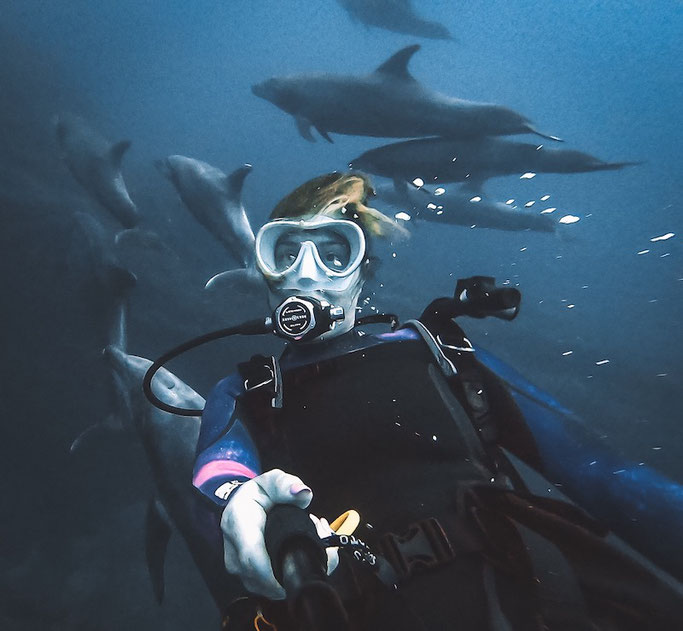 Woman scuba diving with bottlenose dolphins in Socorro, Mexico.