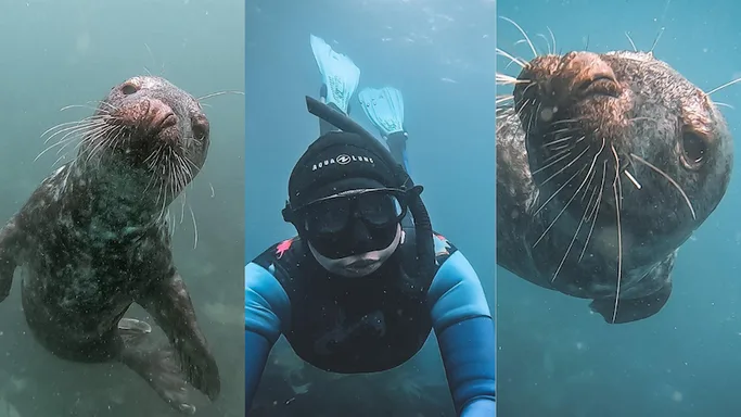 Snorkelling/Freediving/Swimming Lundy Island