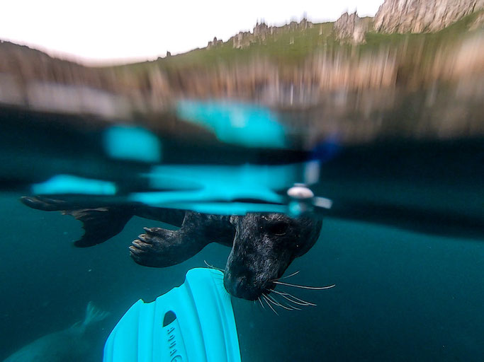 Water temp at Lundy Island