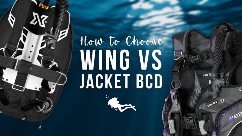 Wing vs Jacket BCD How to Choose the Best BCD For You