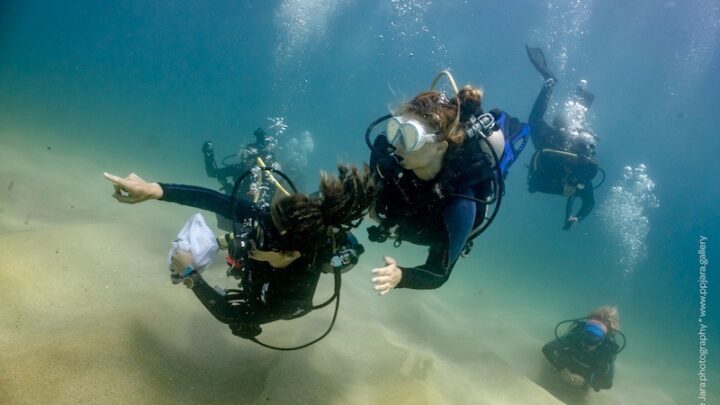 Everything you need to know about the SCUBA Divemaster Course