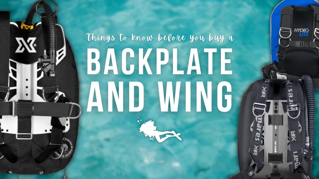 Things You Need to Know Before You Buy a Backplate and Wing