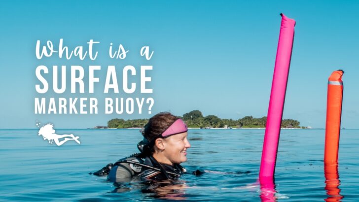 A diver floats at the surface in picturesque blue water, she is holding a bright pink inflatable tube at the surface. Overlaid white text reads 