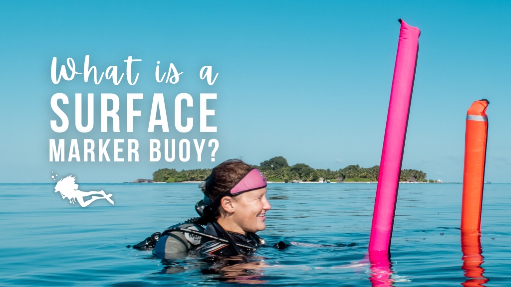 What is a Surface Marker Buoy? - Guide to DSMBs and SMBs