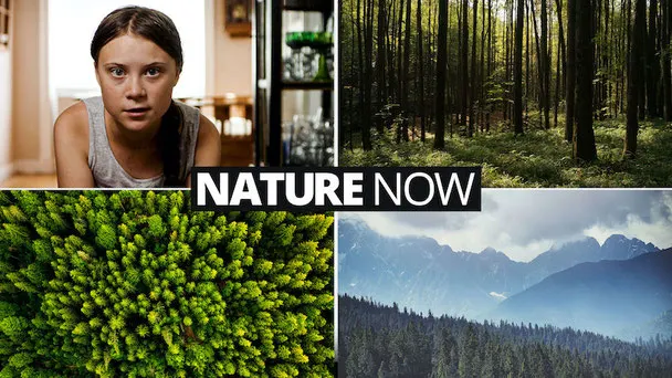 Nature Now