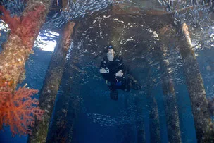 Scuba Diving in the Red Sea