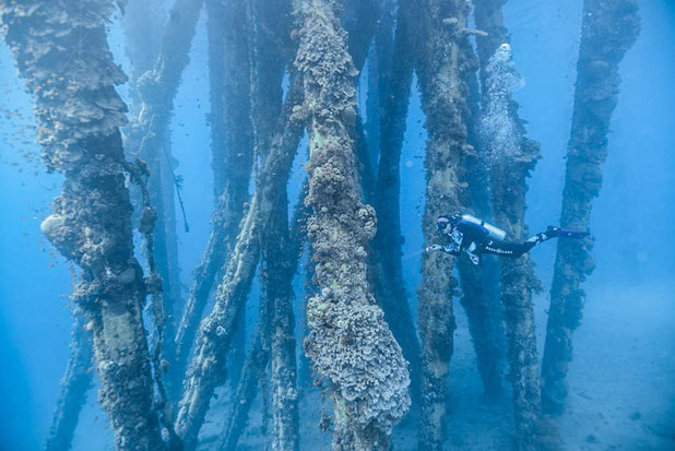 Woman scuba diving underneath a jetty in Aqaba, Jordan on a Girls that Scuba trip