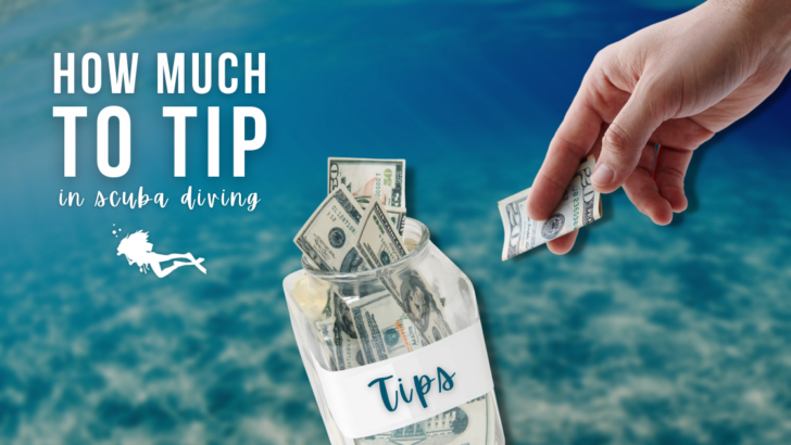 How Much To Tip in Scuba Diving - 6 Questions Answered
