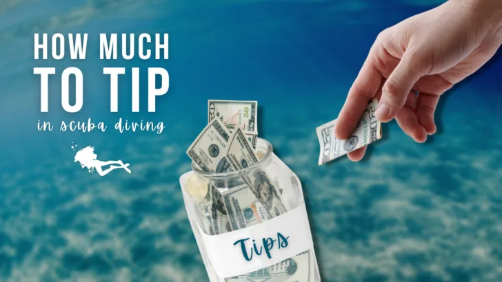 How Much To Tip in Scuba Diving - 6 Questions Answered